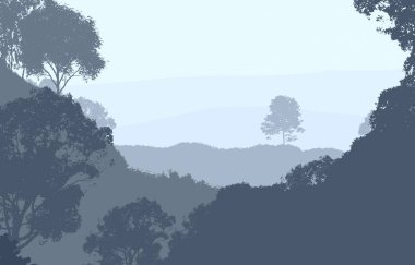 Bitki ve yeşilliklerle kaplı derin orman sisi ve tepeler.