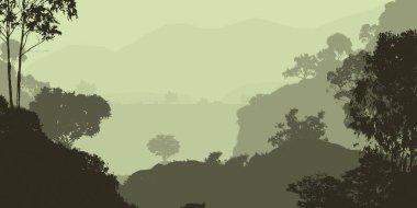 Bitki ve yeşilliklerle kaplı derin orman sisi ve tepeler.