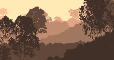 Bitki ve yeşilliklerle kaplı derin orman sisi ve tepeler.