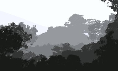 Bitki ve yeşilliklerle kaplı derin orman sisi ve tepeler.