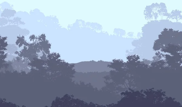 森林的深雾和被植物和树叶覆盖的丘陵 — 图库照片