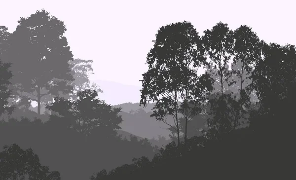 Ceață Adâncă Pădure Dealuri Acoperite Plante Frunze — Fotografie, imagine de stoc