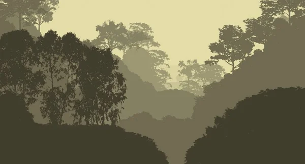 Brume Forêt Profonde Collines Couvertes Plantes Feuillage — Photo