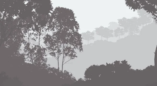 Βαθύ Δάσος Ομίχλη Και Λόφους Που Καλύπτονται Από Φυτά Και — Φωτογραφία Αρχείου