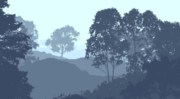Глибокий Лісовий Туман Пагорби Покриті Рослинами Листям — стокове фото