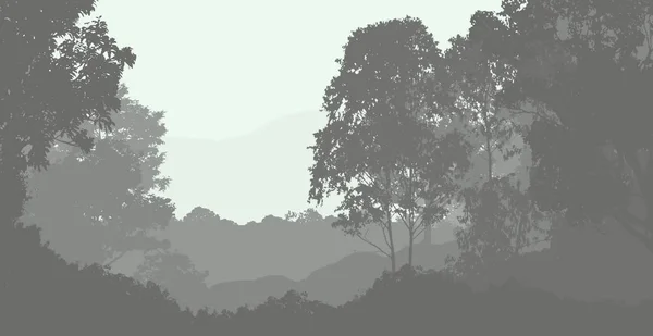 Niebla Del Bosque Profundo Colinas Cubiertas Plantas Follaje — Foto de Stock