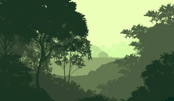 Bitki Yeşilliklerle Kaplı Derin Orman Sisi Tepeler — Stok fotoğraf