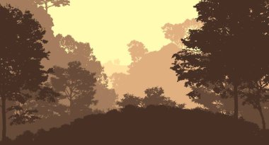 Bitki ve yeşilliklerle kaplı derin orman sisi ve tepeler.