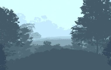 Bitki ve yeşilliklerle kaplı derin orman sisi ve tepeler.