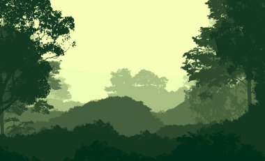 Bitki ve yeşilliklerle kaplı derin orman sisi ve tepeler.