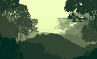 Bitki ve yeşilliklerle kaplı derin orman sisi ve tepeler.