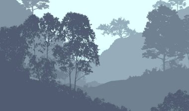 Bitki ve yeşilliklerle kaplı derin orman sisi ve tepeler.