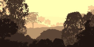 Bitki ve yeşilliklerle kaplı derin orman sisi ve tepeler.