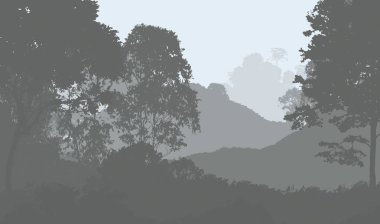 2d illüstrasyon. Sisteki ağaçlar. Derin orman sisi. Bitkiler ve yapraklarla kaplı tepeler. Çalılar ve çalılar. Yaprak döken ahşap. 