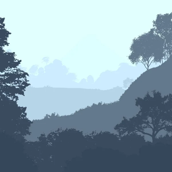 森林的深雾和被植物和树叶覆盖的丘陵 — 图库照片