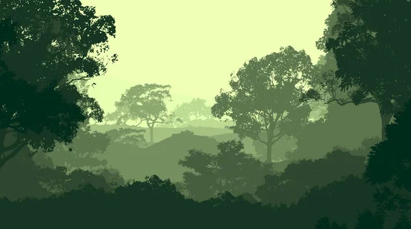 Tiefer Walddunst Und Von Pflanzen Und Laub Bedeckte Hügel — Stockfoto