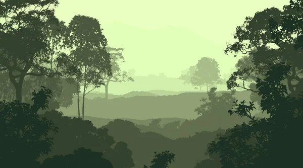Глубокий Лесной Туман Холмы Покрытые Растениями Листьями — стоковое фото