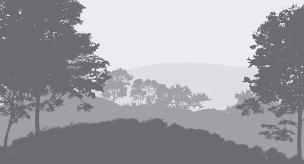 Illustrazione Alberi Nella Nebbia Foresta Profonda Foschia Colline Coperte Piante — Foto Stock