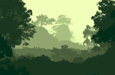 2d illüstrasyon. Sisteki ağaçlar. Derin orman sisi. Bitkiler ve yapraklarla kaplı tepeler. Çalılar ve çalılar. Yaprak döken ahşap. 