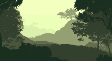 2d illüstrasyon. Sisteki ağaçlar. Derin orman sisi. Bitkiler ve yapraklarla kaplı tepeler. Çalılar ve çalılar. Yaprak döken ahşap. 