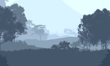 2d illüstrasyon. Sisteki ağaçlar. Derin orman sisi. Bitkiler ve yapraklarla kaplı tepeler. Çalılar ve çalılar. Yaprak döken ahşap. 