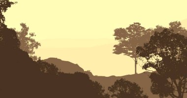 2d illüstrasyon. Sisteki ağaçlar. Derin orman sisi. Bitkiler ve yapraklarla kaplı tepeler. Çalılar ve çalılar. Yaprak döken ahşap. 