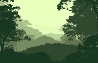 2d illüstrasyon. Sisteki ağaçlar. Derin orman sisi. Bitkiler ve yapraklarla kaplı tepeler. Çalılar ve çalılar. Yaprak döken ahşap. 