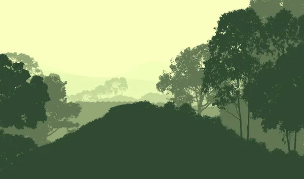 Illustratie Bomen Mist Deep Forest Haze Heuvels Bedekt Met Planten — Stockfoto