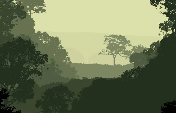 Illustrazione Alberi Nella Nebbia Foresta Profonda Foschia Colline Coperte Piante — Foto Stock