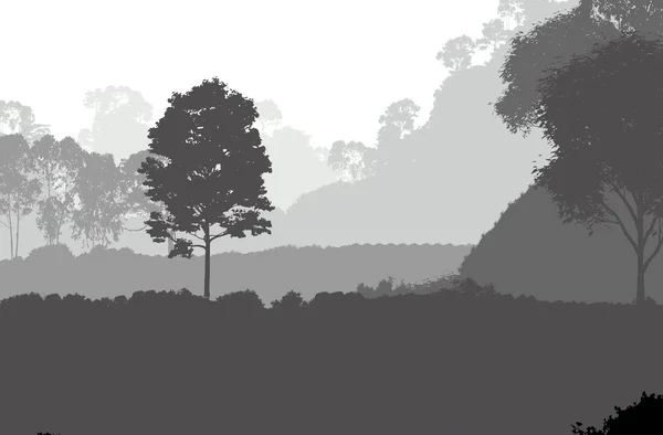 Illustrazione Alberi Nella Nebbia Foresta Profonda Foschia Colline Coperte Piante — Foto Stock