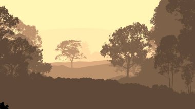 2d illüstrasyon. Sisteki ağaçlar. Derin orman sisi. Bitkiler ve yapraklarla kaplı tepeler. Çalılar ve çalılar. Yaprak döken ahşap. 