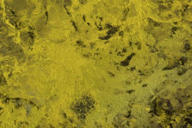 metin için alanı olan grunge doku arkaplanı