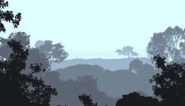 2d illüstrasyon. Sisteki ağaçlar. Derin orman sisi. Bitkiler ve yapraklarla kaplı tepeler. Çalılar ve çalılar. Yaprak döken ahşap. 