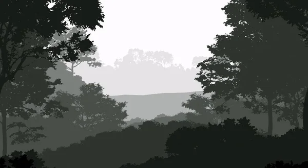 2d illustration. Trees in fog. Deep forest haze. Hills covered by plants and foliage. Shrubs and bushes. Deciduous wood.