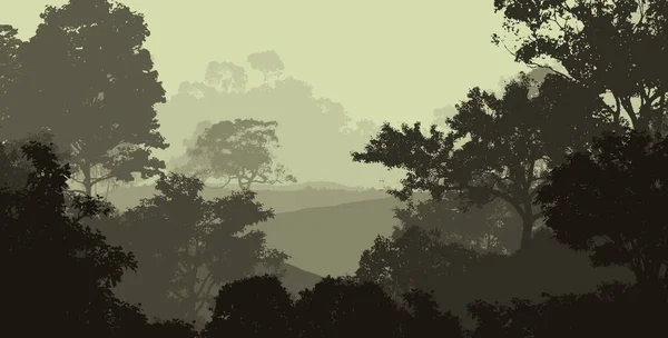 Illustrazione Alberi Nella Nebbia Foresta Profonda Foschia Colline Coperte Piante — Foto Stock