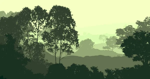 Ilustración Árboles Niebla Niebla Profunda Del Bosque Colinas Cubiertas Por —  Fotos de Stock