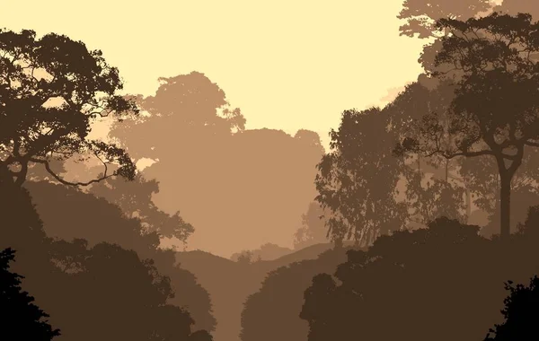Ilustrație Copaci Ceaţă Ceaţă Adâncă Pădure Dealuri Acoperite Plante Frunze — Fotografie, imagine de stoc