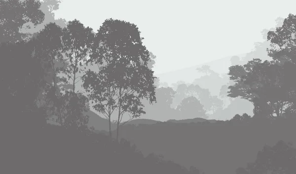 Illustration Des Arbres Dans Brouillard Brume Forêt Profonde Collines Couvertes — Photo