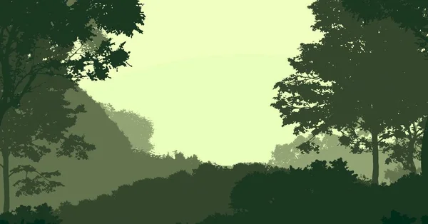 Illustration Trees Fog Deep Forest Haze Hills Covered Plants Foliage — Stock Photo, Image