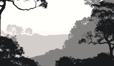 2d illüstrasyon. Sisteki ağaçlar. Derin orman sisi. Bitkiler ve yapraklarla kaplı tepeler. Çalılar ve çalılar. Yaprak döken ahşap. 