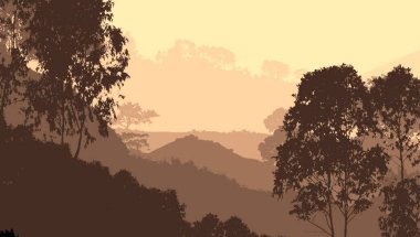 2d illüstrasyon. Sisteki ağaçlar. Derin orman sisi. Bitkiler ve yapraklarla kaplı tepeler. Çalılar ve çalılar. Yaprak döken ahşap. 