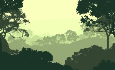 2d illüstrasyon. Sisteki ağaçlar. Derin orman sisi. Bitkiler ve yapraklarla kaplı tepeler. Çalılar ve çalılar. Yaprak döken ahşap. 