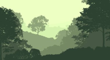 2d illüstrasyon. Sisteki ağaçlar. Derin orman sisi. Bitkiler ve yapraklarla kaplı tepeler. Çalılar ve çalılar. Yaprak döken ahşap. 