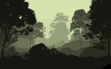 2d illüstrasyon. Sisteki ağaçlar. Derin orman sisi. Bitkiler ve yapraklarla kaplı tepeler. Çalılar ve çalılar. Yaprak döken ahşap. 