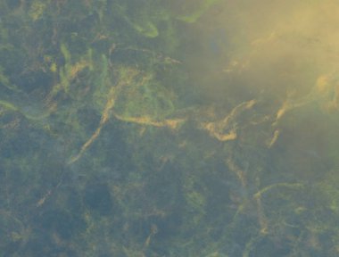 Renkli mermer desenli soyut arkaplan