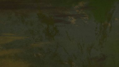 metin için alanı olan grunge doku arkaplanı