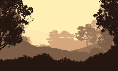 2d illüstrasyon. Sisteki ağaçlar. Derin orman sisi. Bitkiler ve yapraklarla kaplı tepeler. Çalılar ve çalılar. Yaprak döken ahşap. 