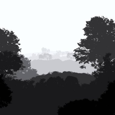 2d illüstrasyon. Sisteki ağaçlar. Derin orman sisi. Bitkiler ve yapraklarla kaplı tepeler. Çalılar ve çalılar. Yaprak döken ahşap. 