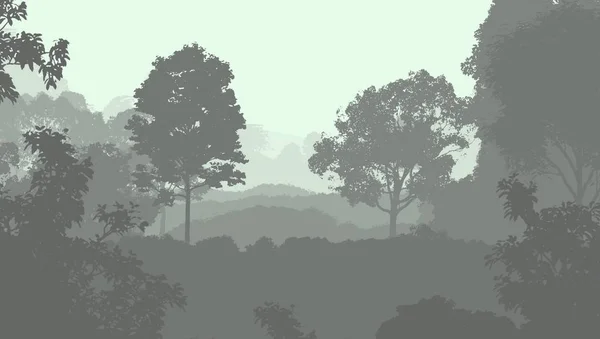 Illustrazione Alberi Nella Nebbia Foresta Profonda Foschia Colline Coperte Piante — Foto Stock