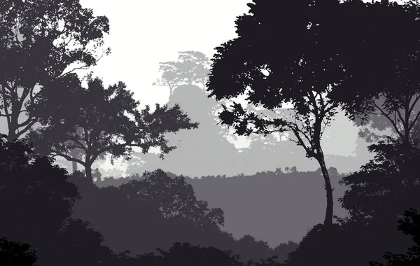 Illustration Trees Fog Deep Forest Haze Hills Covered Plants Foliage — Stock Photo, Image